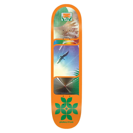 Alien Workshop Deck - Photosynthesis 8”